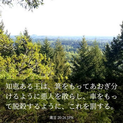 Picture 03 - 箴言 20:26 JPN - 知恵ある王は、箕をもってあおぎ分 - Bible Verse Picture