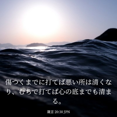 Picture 03 - 箴言 20:30 JPN - 傷つくまでに打てば悪い所は清くな - Bible Verse Picture