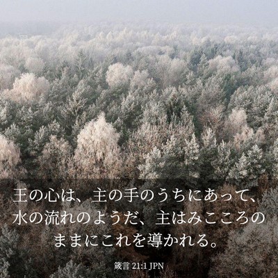 Picture 03 - 箴言 21:1 JPN - 王の心は、主の手のうちにあって、 - Bible Verse Picture