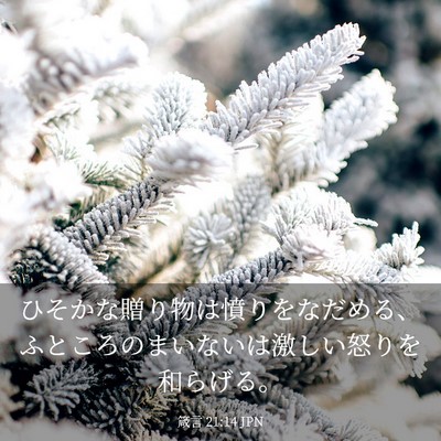 Picture 03 - 箴言 21:14 JPN - ひそかな贈り物は憤りをなだめる、 - Bible Verse Picture
