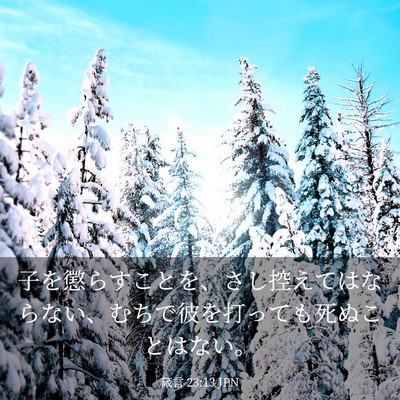 Picture 03 - 箴言 23:13 JPN - 子を懲らすことを、さし控えてはな - Bible Verse Picture