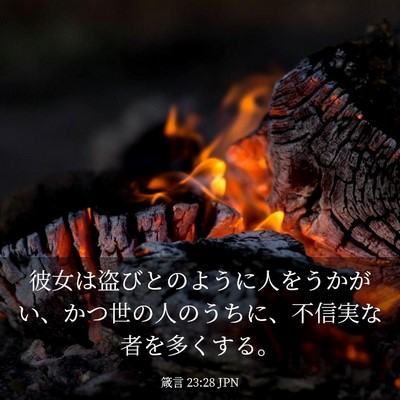 Picture 03 - 箴言 23:28 JPN - 彼女は盗びとのように人をうかがい - Bible Verse Picture