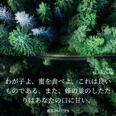 Picture 03 - 箴言 24:13 JPN - わが子よ、蜜を食べよ、これは良い - Bible Verse Picture