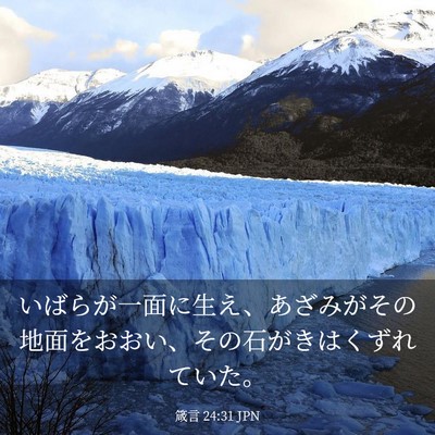 Picture 03 - 箴言 24:31 JPN - いばらが一面に生え、あざみがその - Bible Verse Picture