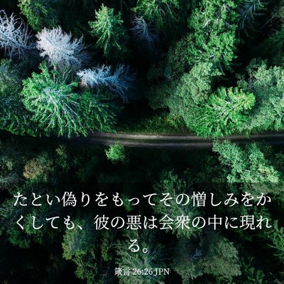Picture 03 - 箴言 26:26 JPN - たとい偽りをもってその憎しみをか - Bible Verse Picture