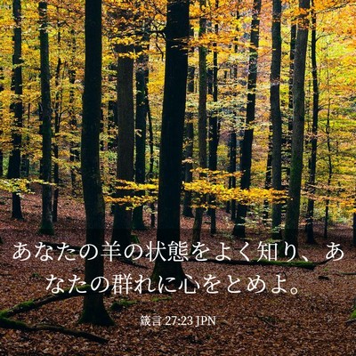 Picture 03 - 箴言 27:23 JPN - あなたの羊の状態をよく知り、あな - Bible Verse Picture