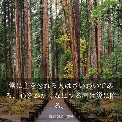 Picture 03 - 箴言 28:14 JPN - 常に主を恐れる人はさいわいである - Bible Verse Picture
