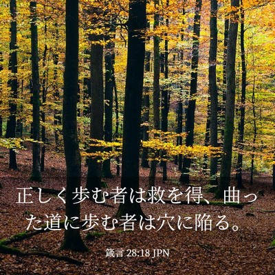 Picture 03 - 箴言 28:18 JPN - 正しく歩む者は救を得、曲った道に - Bible Verse Picture