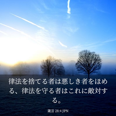 Picture 03 - 箴言 28:4 JPN - 律法を捨てる者は悪しき者をほめる - Bible Verse Picture