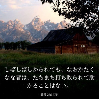 Picture 03 - 箴言 29:1 JPN - しばしばしかられても、なおかたく - Bible Verse Picture