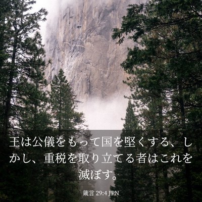 Picture 03 - 箴言 29:4 JPN - 王は公儀をもって国を堅くする、し - Bible Verse Picture