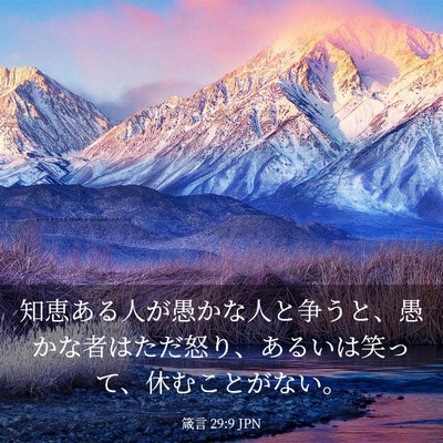 Picture 03 - 箴言 29:9 JPN - 知恵ある人が愚かな人と争うと、愚 - Bible Verse Picture
