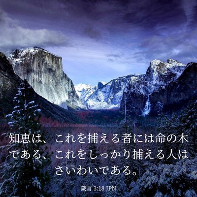 Picture 03 - 箴言 3:18 JPN - 知恵は、これを捕える者には命の木 - Bible Verse Picture