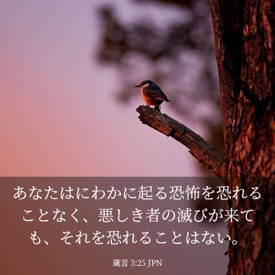 Picture 03 - 箴言 3:25 JPN - あなたはにわかに起る恐怖を恐れる - Bible Verse Picture