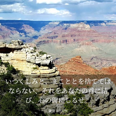 Picture 03 - 箴言 3:3 JPN - いつくしみと、まこととを捨てては - Bible Verse Picture