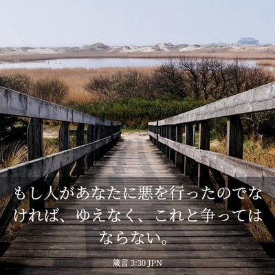 Picture 03 - 箴言 3:30 JPN - もし人があなたに悪を行ったのでな - Bible Verse Picture