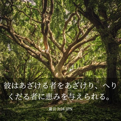 Picture 03 - 箴言 3:34 JPN - 彼はあざける者をあざけり、へりく - Bible Verse Picture