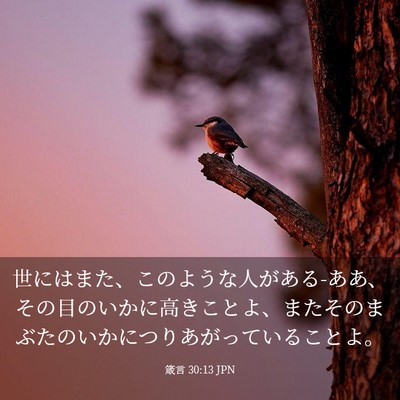 Picture 03 - 箴言 30:13 JPN - 世にはまた、このような人がある-あ - Bible Verse Picture