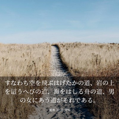 Picture 03 - 箴言 30:19 JPN - すなわち空を飛ぶはげたかの道、岩 - Bible Verse Picture