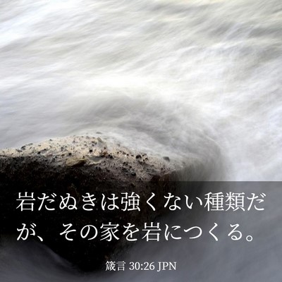Picture 03 - 箴言 30:26 JPN - 岩だぬきは強くない種類だが、その - Bible Verse Picture