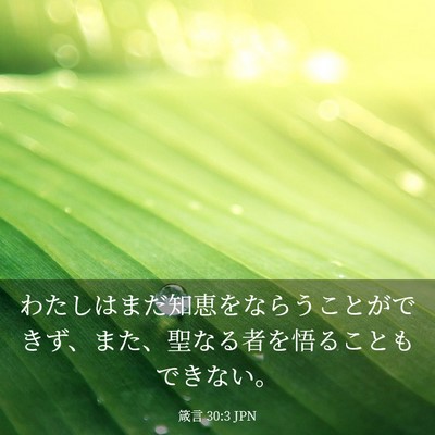 Picture 03 - 箴言 30:3 JPN - わたしはまだ知恵をならうことがで - Bible Verse Picture