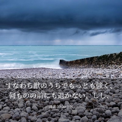 Picture 03 - 箴言 30:30 JPN - すなわち獣のうちでもっとも強く、 - Bible Verse Picture