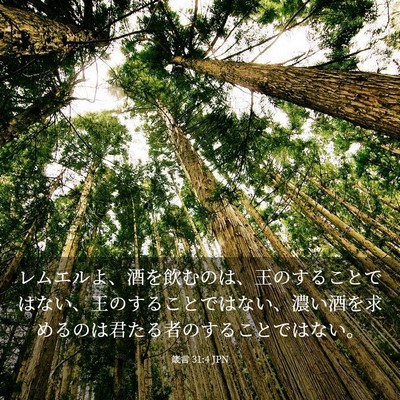 Picture 03 - 箴言 31:4 JPN - レムエルよ、酒を飲むのは、王のす - Bible Verse Picture