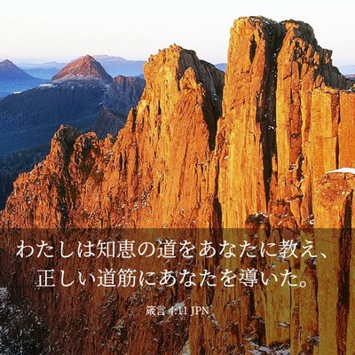 Picture 03 - 箴言 4:11 JPN - わたしは知恵の道をあなたに教え、 - Bible Verse Picture