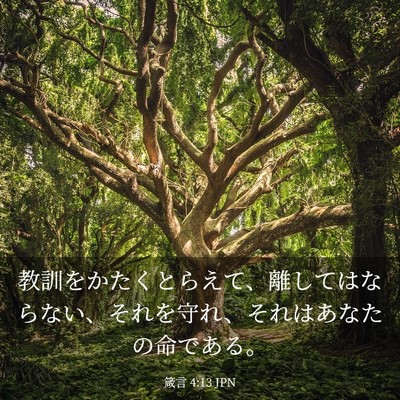 Picture 03 - 箴言 4:13 JPN - 教訓をかたくとらえて、離してはな - Bible Verse Picture