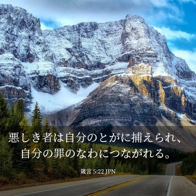 Picture 03 - 箴言 5:22 JPN - 悪しき者は自分のとがに捕えられ、 - Bible Verse Picture