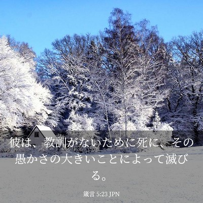 Picture 03 - 箴言 5:23 JPN - 彼は、教訓がないために死に、その - Bible Verse Picture