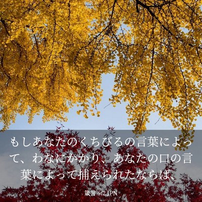 Picture 03 - 箴言 6:2 JPN - もしあなたのくちびるの言葉によっ - Bible Verse Picture