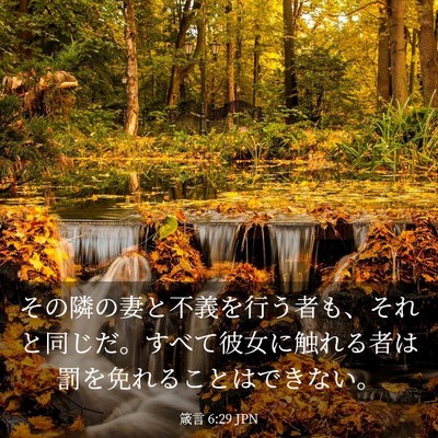 Picture 03 - 箴言 6:29 JPN - その隣の妻と不義を行う者も、それ - Bible Verse Picture