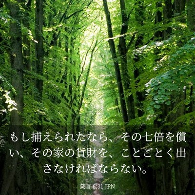 Picture 03 - 箴言 6:31 JPN - もし捕えられたなら、その七倍を償 - Bible Verse Picture