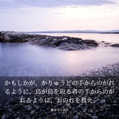 Picture 03 - 箴言 6:5 JPN - かもしかが、かりゅうどの手からの - Bible Verse Picture