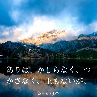 Picture 03 - 箴言 6:7 JPN - ありは、かしらなく、つかさなく、 - Bible Verse Picture