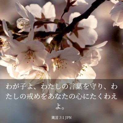 Picture 03 - 箴言 7:1 JPN - わが子よ、わたしの言葉を守り、わ - Bible Verse Picture