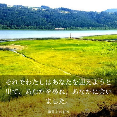 Picture 03 - 箴言 7:15 JPN - それでわたしはあなたを迎えようと - Bible Verse Picture
