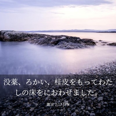 Picture 03 - 箴言 7:17 JPN - 没薬、ろかい、桂皮をもってわたし - Bible Verse Picture