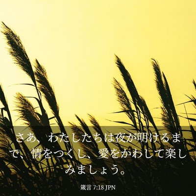 Picture 03 - 箴言 7:18 JPN - さあ、わたしたちは夜が明けるまで - Bible Verse Picture