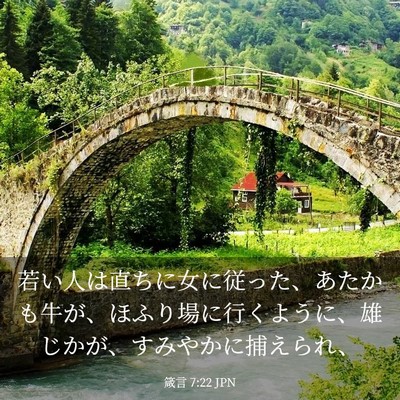 Picture 03 - 箴言 7:22 JPN - 若い人は直ちに女に従った、あたか - Bible Verse Picture