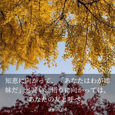 Picture 03 - 箴言 7:4 JPN - 知恵に向かって、「あなたはわが姉 - Bible Verse Picture