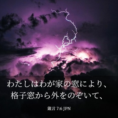 Picture 03 - 箴言 7:6 JPN - わたしはわが家の窓により、格子窓 - Bible Verse Picture