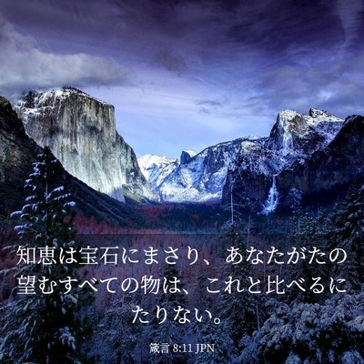 Picture 03 - 箴言 8:11 JPN - 知恵は宝石にまさり、あなたがたの - Bible Verse Picture