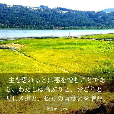 Picture 03 - 箴言 8:13 JPN - 主を恐れるとは悪を憎むことである - Bible Verse Picture