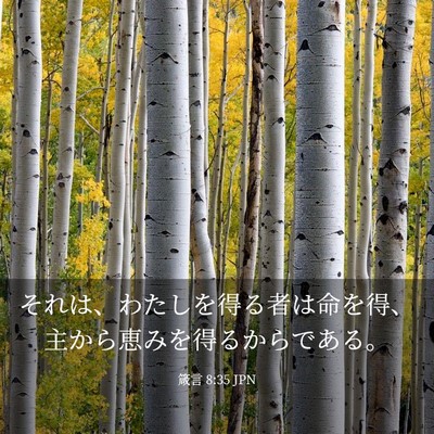 Picture 03 - 箴言 8:35 JPN - それは、わたしを得る者は命を得、 - Bible Verse Picture