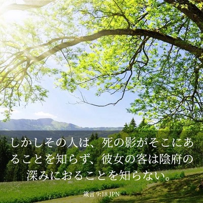 Picture 03 - 箴言 9:18 JPN - しかしその人は、死の影がそこにあ - Bible Verse Picture