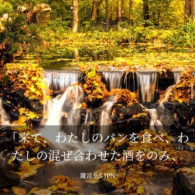 Picture 03 - 箴言 9:5 JPN - 「来て、わたしのパンを食べ、わた - Bible Verse Picture