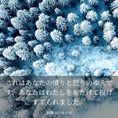 Picture 03 - 詩篇 102:10 JPN - これはあなたの憤りと怒りのゆえで - Bible Verse Picture
