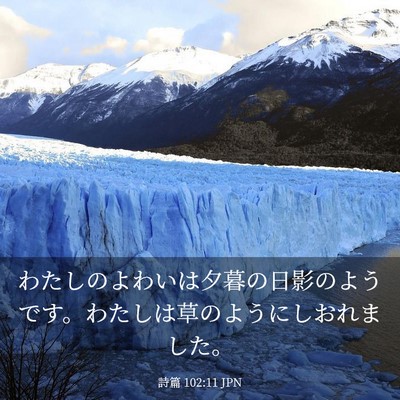 Picture 03 - 詩篇 102:11 JPN - わたしのよわいは夕暮の日影のよう - Bible Verse Picture